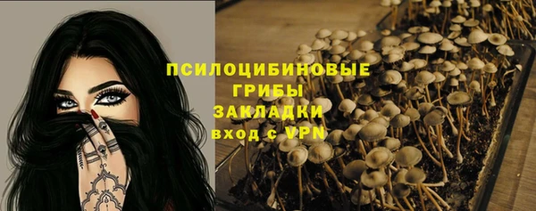 твердый Бугульма