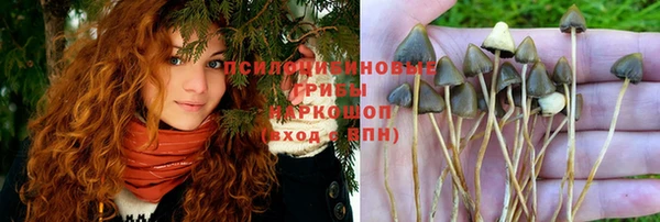 ALPHA-PVP Бородино